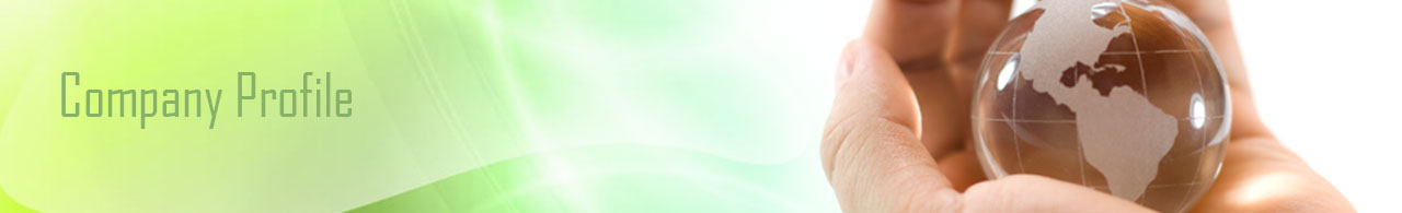 Company Profile